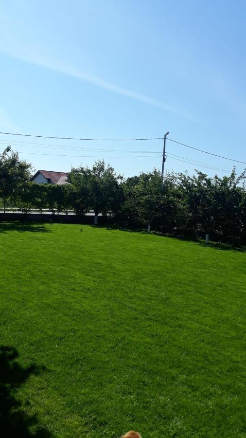 Vila Alexa Costinesti Exteriör bild