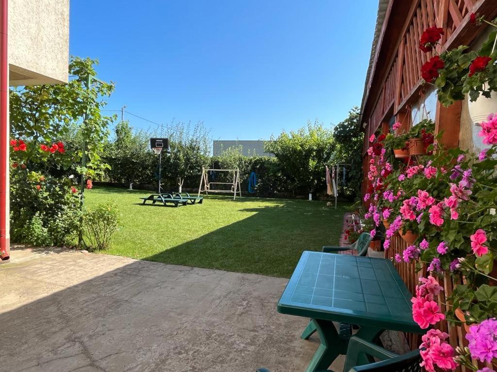 Vila Alexa Costinesti Exteriör bild