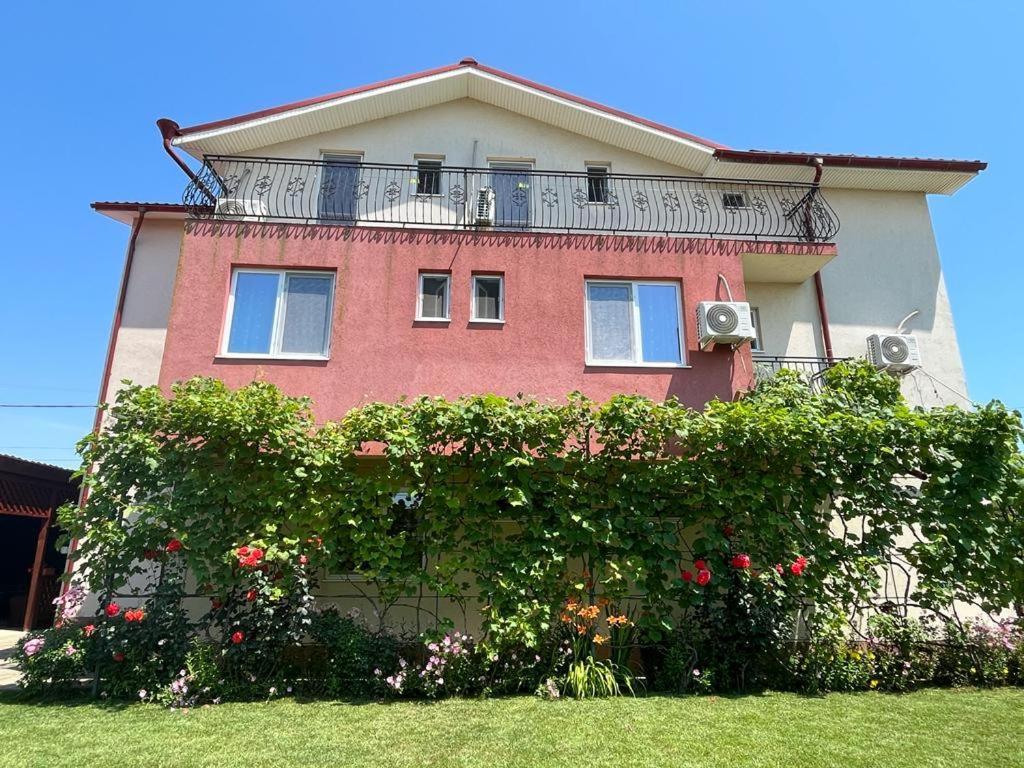 Vila Alexa Costinesti Exteriör bild