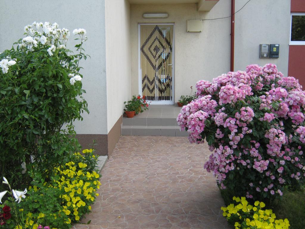 Vila Alexa Costinesti Exteriör bild